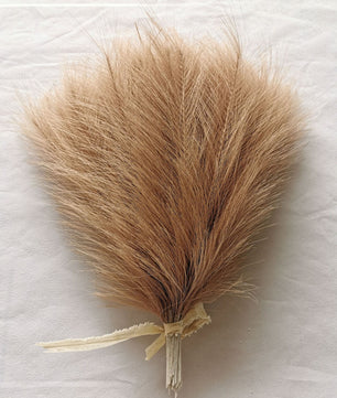 Flores de pampas para decoración 10 unidades de 42cm