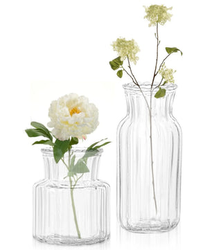 Florero de vidrio Crystal Reed · Transparente