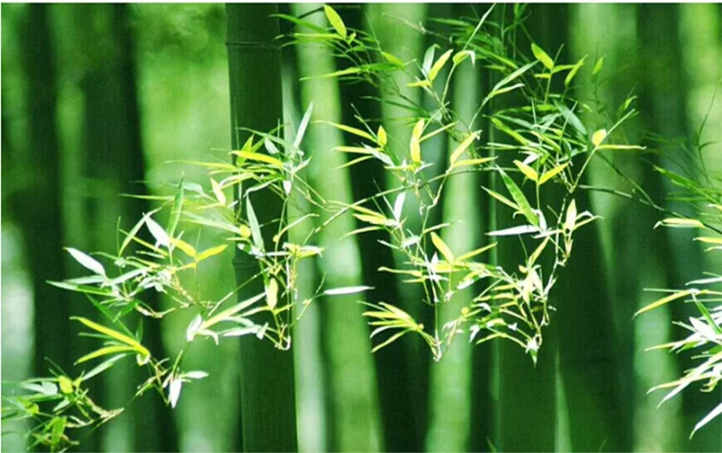 LoomLayer Pantalla de lámpara colgante · Bambú tejido natural