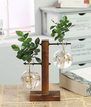 Terrario hidropónico para plantas florales