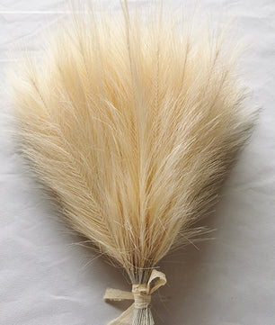 Flores de pampas para decoración 10 unidades de 42cm