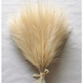  Amarillo 42cm