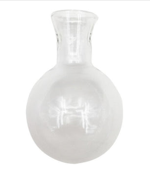 Terrario hidropónico para plantas florales