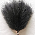  Negro 42cm