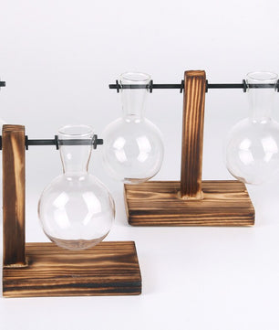 Terrario hidropónico para plantas florales