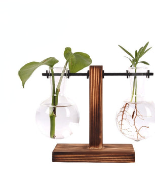 Terrario hidropónico para plantas florales