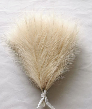 Flores de pampas para decoración 10 unidades de 42cm